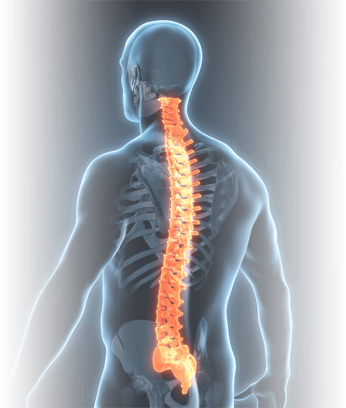 Spine Pathology